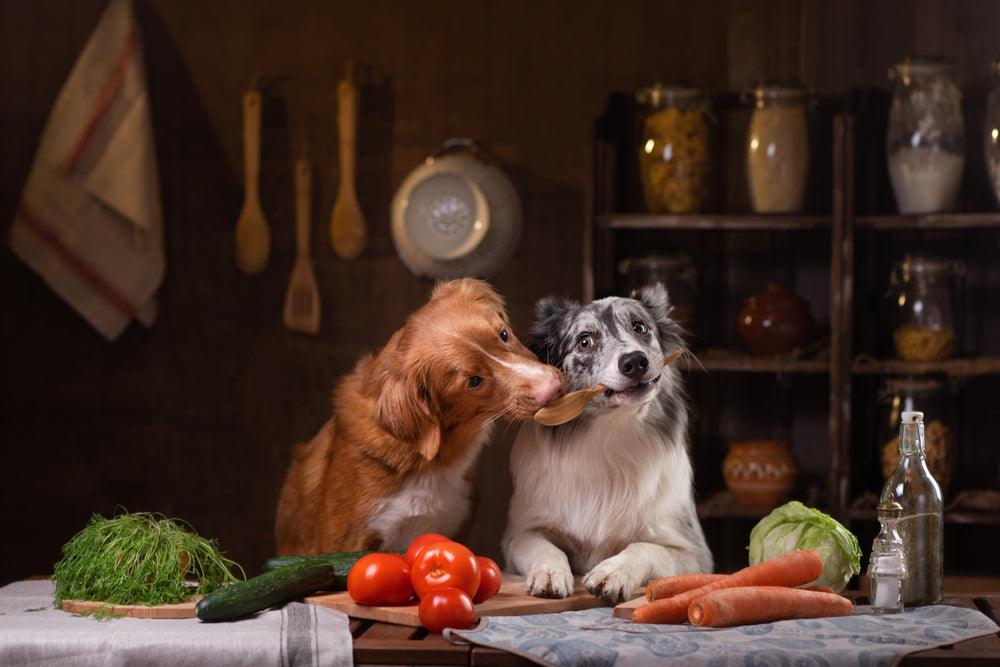 5 Vorteile einer vegetarischen Ernährung für Hunde