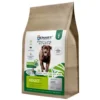 Dry insect food for adult dogs