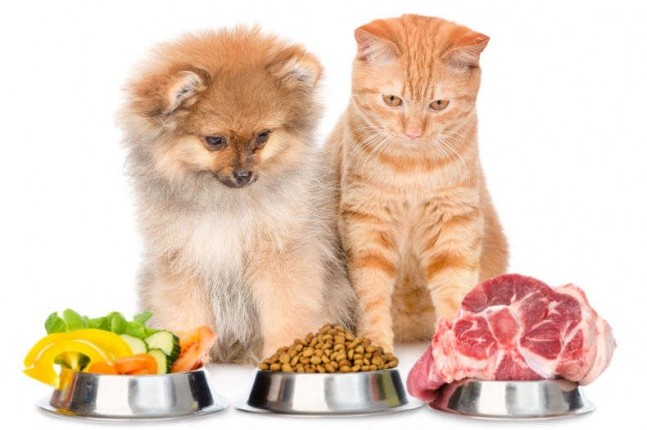 Understanding Food Allergies in dogs and cats: Causes, symptoms and how Henart can help